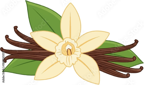 A delicate vanilla bean blossom with dark beans and green leaves