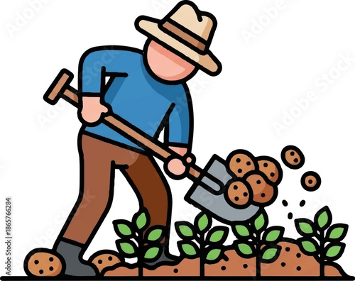 Person wearing a hat digs up potatoes with a shovel in a field