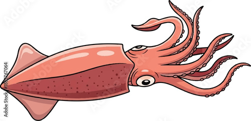 Cartoonish illustration of a salmon-pink squid with eight tentacles and large eyes