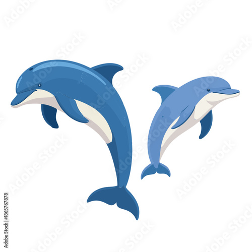 Two Blue Dolphins Leaping Gracefully in Clear Water with White Background