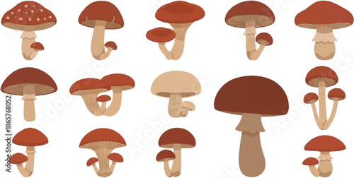 A collection of diverse, stylized mushrooms in warm earthy tones and simple shapes
