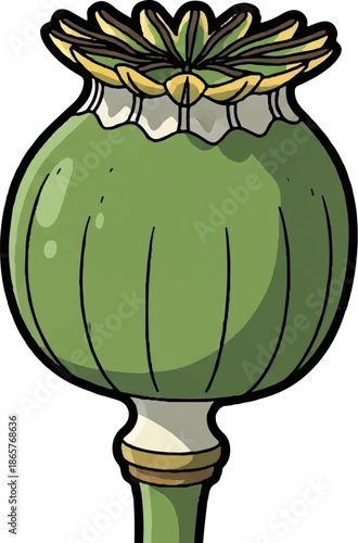 A stylized, green opium poppy seed pod with a crown-like top