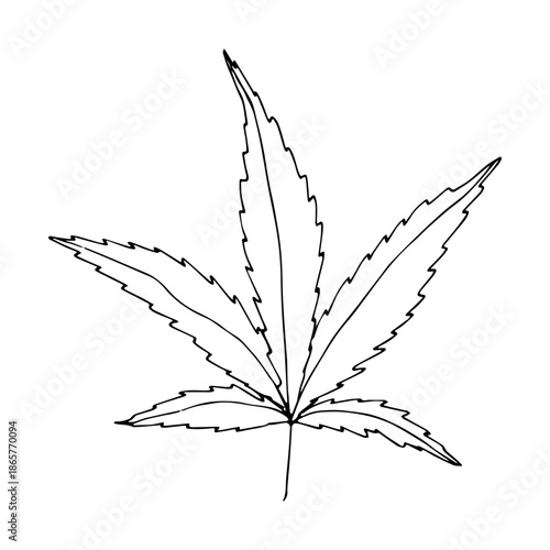 Hand drawn cannabis leaf Medicine marijuana Hemp leaves clipart in doodle style Single element for print, web, design, decor