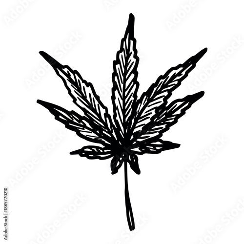 Hand drawn cannabis leaf Medicine marijuana Hemp leaves clipart in doodle style Single element for print, web, design, decor