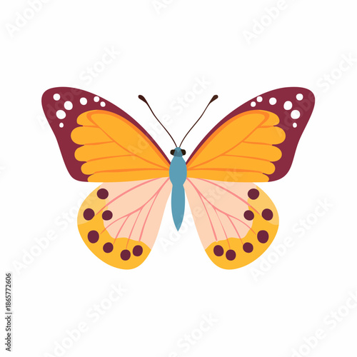 butterfly isolated on white