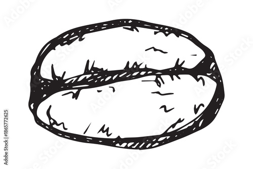 Hand drawn fresh roasted coffee bean Arabica robusta seed doodle Single element for print, web, design, decor