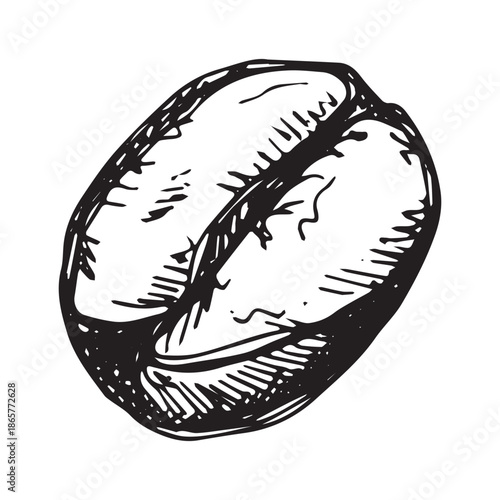 Hand drawn fresh roasted coffee bean Arabica robusta seed doodle Single element for print, web, design, decor