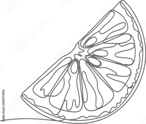 Simple line drawing of lemon slice