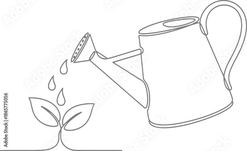 Watering a small plant with a watering can