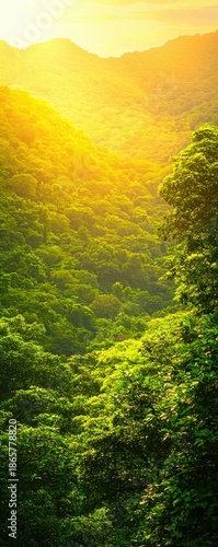 Sunlight Glimmers Through Lush Green Mountains at Dawn