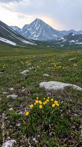 Scenic Mountain Landscape with Wildflowers and Dramatic Clouds
