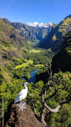 Majestic Mountain Landscape with White Bird Overlooking Valley Scene