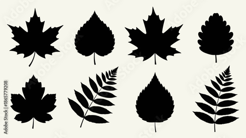 Collection of diverse autumn leaf silhouettes, showcasing nature's simple beauty