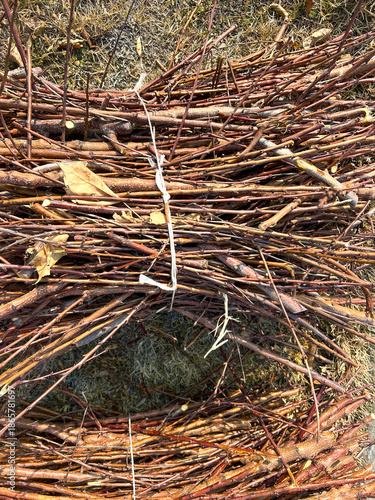 Fotografía Bundled tree branches on dry grass background
