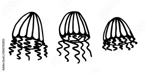 Set of hand drawn jellyfish doodle Sea animal illustration Cute marine underwater creature Medusa sketch clipart Single element for web, design, decor, children's print