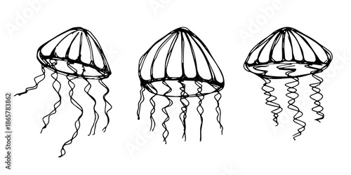 Set of hand drawn jellyfish doodle Sea animal illustration Cute marine underwater creature Medusa sketch clipart Single element for web, design, decor, children's print