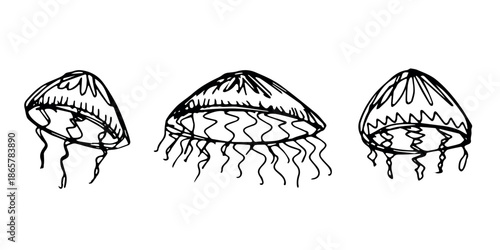 Set of hand drawn jellyfish doodle Sea animal illustration Cute marine underwater creature Medusa sketch clipart Single element for web, design, decor, children's print