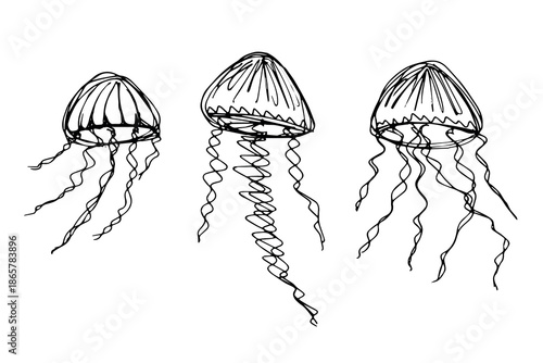 Set of hand drawn jellyfish doodle Sea animal illustration Cute marine underwater creature Medusa sketch clipart Single element for web, design, decor, children's print