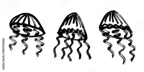 Set of hand drawn jellyfish doodle Sea animal illustration Cute marine underwater creature Medusa sketch clipart Single element for web, design, decor, children's print