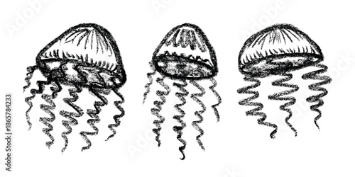 Set of hand drawn jellyfish doodle Sea animal illustration Cute marine underwater creature Medusa sketch clipart Single element for web, design, decor, children's print