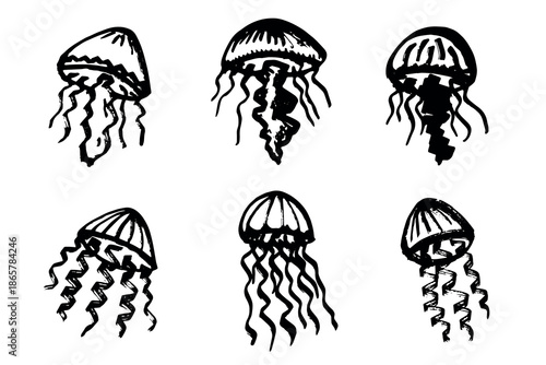 Set of hand drawn jellyfish doodle Sea animal illustration Cute marine underwater creature Medusa sketch clipart Single element for web, design, decor, children's print