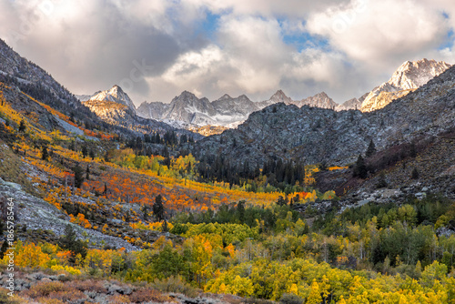 Фотография Autumn in the Eastern Sierra mountains in Inyo National forest near Bishop, California