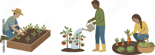People gardening together illustration showing planting watering and harvesting organic vegetables in home gardens promoting sustainable agriculture lifestyle