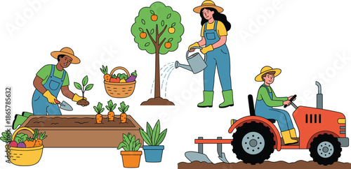 Organic farming illustration with farmers planting watering harvesting vegetables and fruits using tractor in sustainable agriculture and eco friendly rural lifestyle