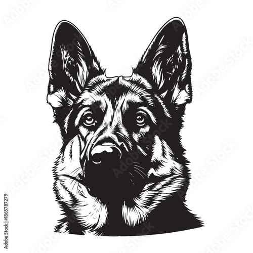 Black and White Illustration of a German Shepherd Dog Portrait