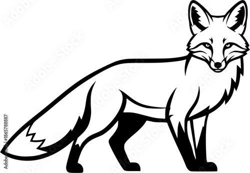 black and white fox animal
