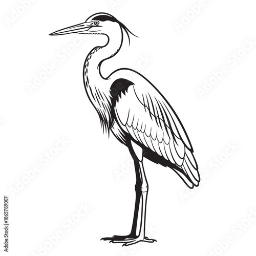 Stylized black and white heron illustration on transparent background