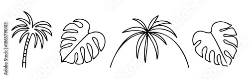 Minimalist line drawings of tropical palm trees and monstera leaves perfect for summer vacation themed decorations or resort branding materials