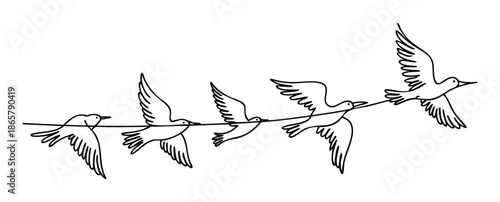 Minimalist line art depicting five birds in various stages of taking flight from a simple horizontal line symbolizing freedom and progression ideal for conceptual projects