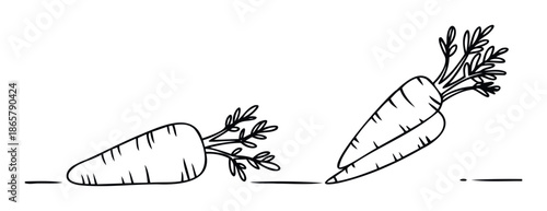 Hand drawn style carrots with leafy tops providing a fresh and natural visual for healthy eating promotions cooking recipe blogs or garden themed projects