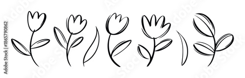 Hand drawn stylized doodle flowers and leaves in black brush stroke style for simple graphic prints, botanical decor, or natural themed visual materials.