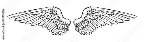 Stylized graphic drawing of two symmetrical feathered wings spread wide, representing freedom, spirituality, and ascent, perfect for emblem creation, apparel, or symbolic visuals.