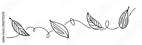 Decorative line drawing featuring a flowing arrangement of stylized leaves connected by delicate swirls, ideal for enhancing borders, dividers, or naturalthemed graphic designs and print