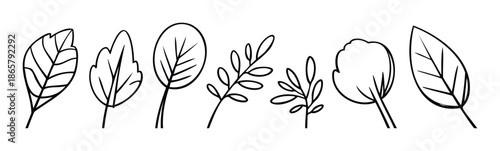 Botanical foliage line drawings suitable for ecological nature themed branding or decorative graphic resources and educational materials