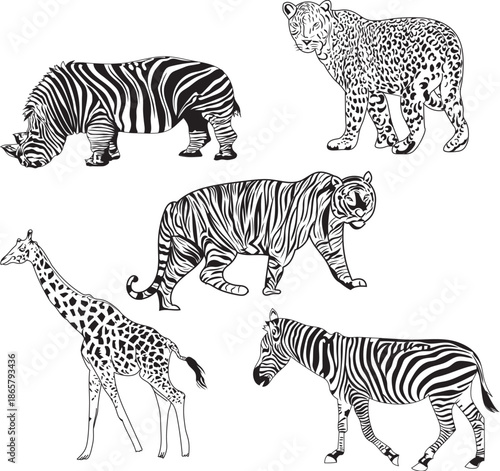 Canvas Print Black and white safari animals line art illustration set