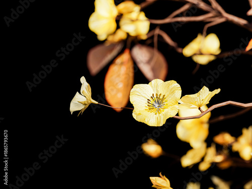 Yellow flowers on twisting branches over dark background