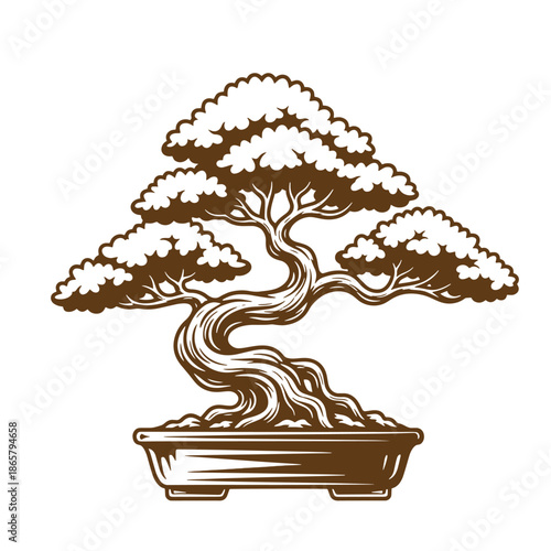 Vintage bonsai tree in pot isolated on white background