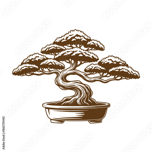 Vintage Brown bonsai tree in a pot isolated on white background  a small potted tree with a twisted trunk and branches