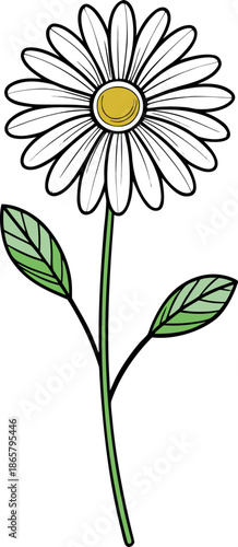 Simple charming illustration of a single white daisy flower with bright yellow centre and small green leaves blooming on a slender stem representing springtime beauty and natural innocence.