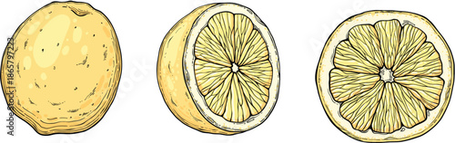 Set Sketch lemonade. Summer cold drinks, hand drawn yellow lemons slices and leaves. Glass of lemonade with ice vector illustration set. Drink fruit lemonade graphic, juice and mint leaf