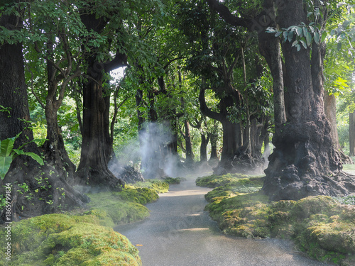 Jungle forest with tropical trees Adventure background
