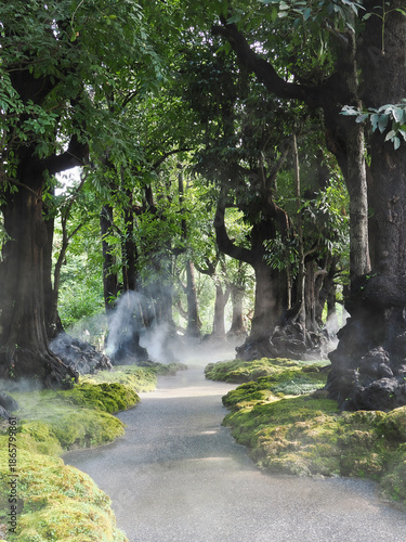 Jungle forest with tropical trees Adventure background