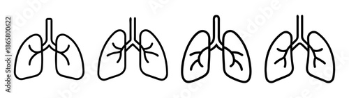 Lungs anatomy diagram human respiratory system vector illustration medical healthcare drawing lungs