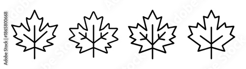 Vector drawing of four maple leaf clip art isolated on white background autumn season design