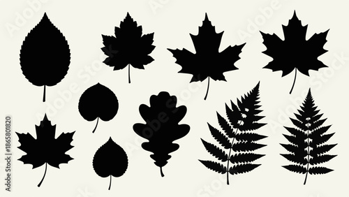 Collection of diverse black leaf silhouettes on a light background