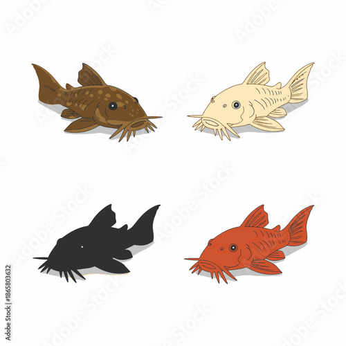 Bristlenose Pleco: The Perfect Freshwater Aquarium Fish for Algae Control